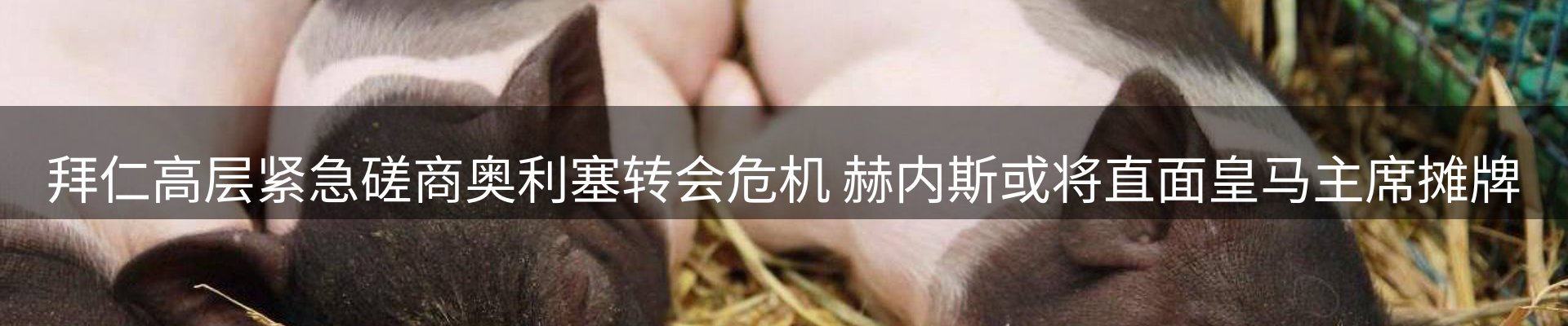 ued官网要闻