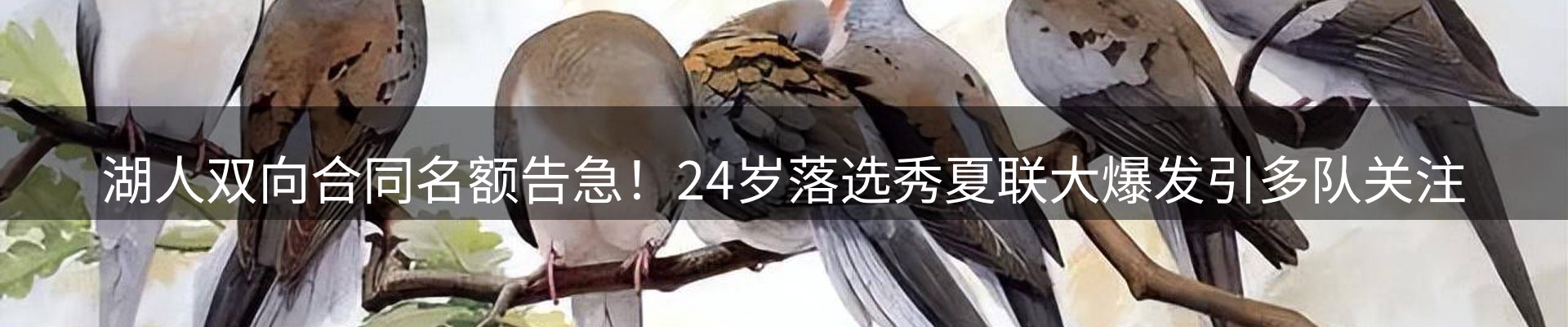 ued官网要闻